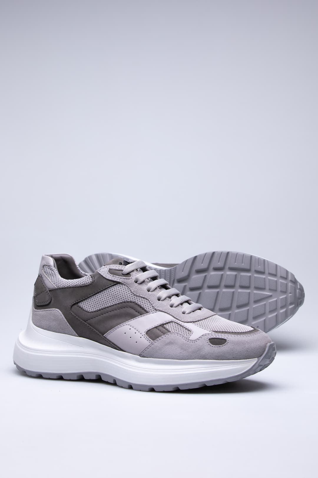 
                  
                    Grey Swiss
                  
                