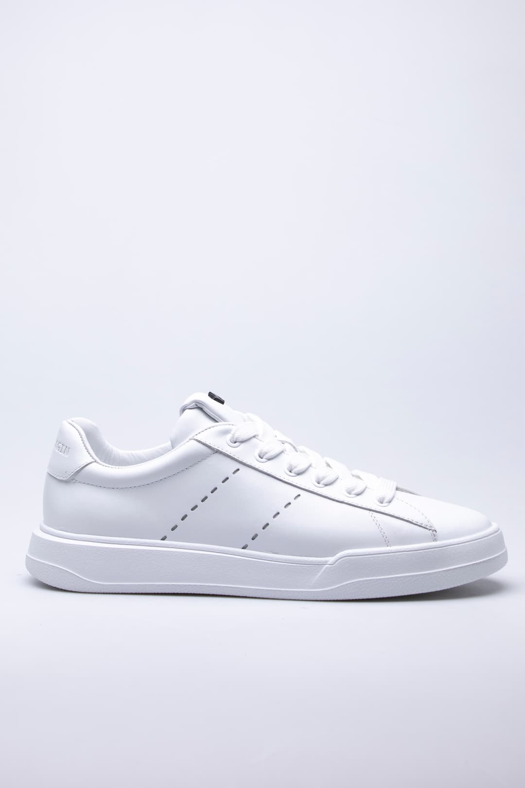 
                  
                    White Leo
                  
                