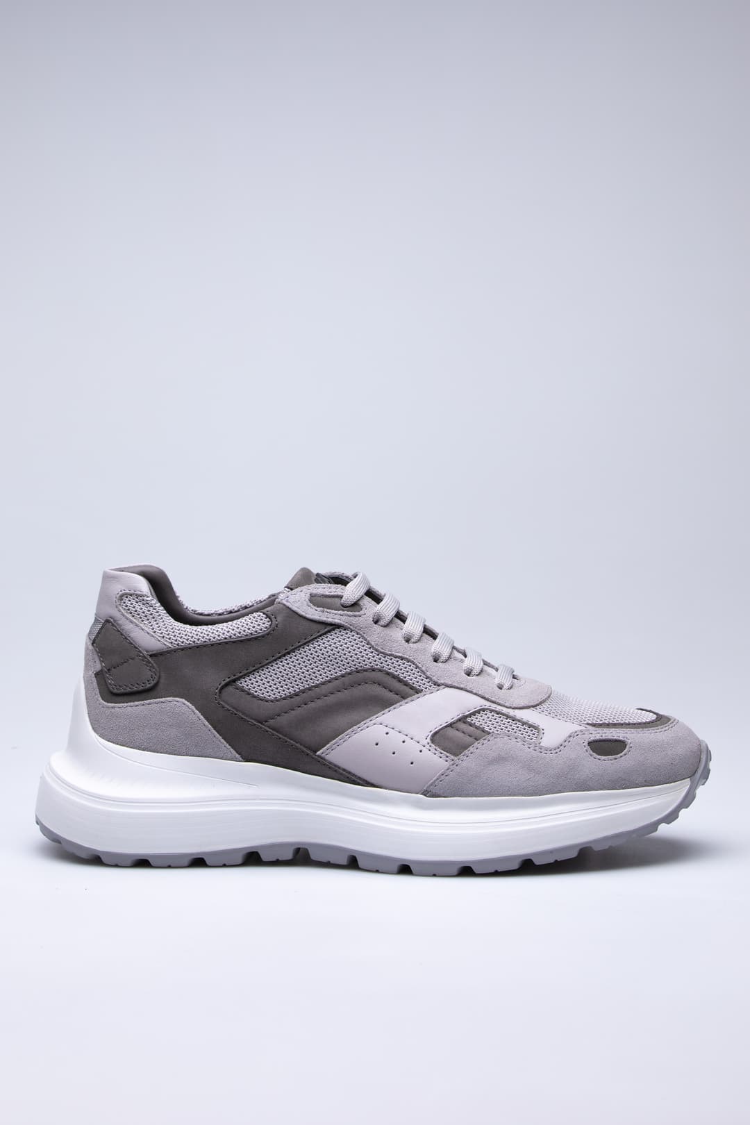 
                  
                    Grey Swiss
                  
                